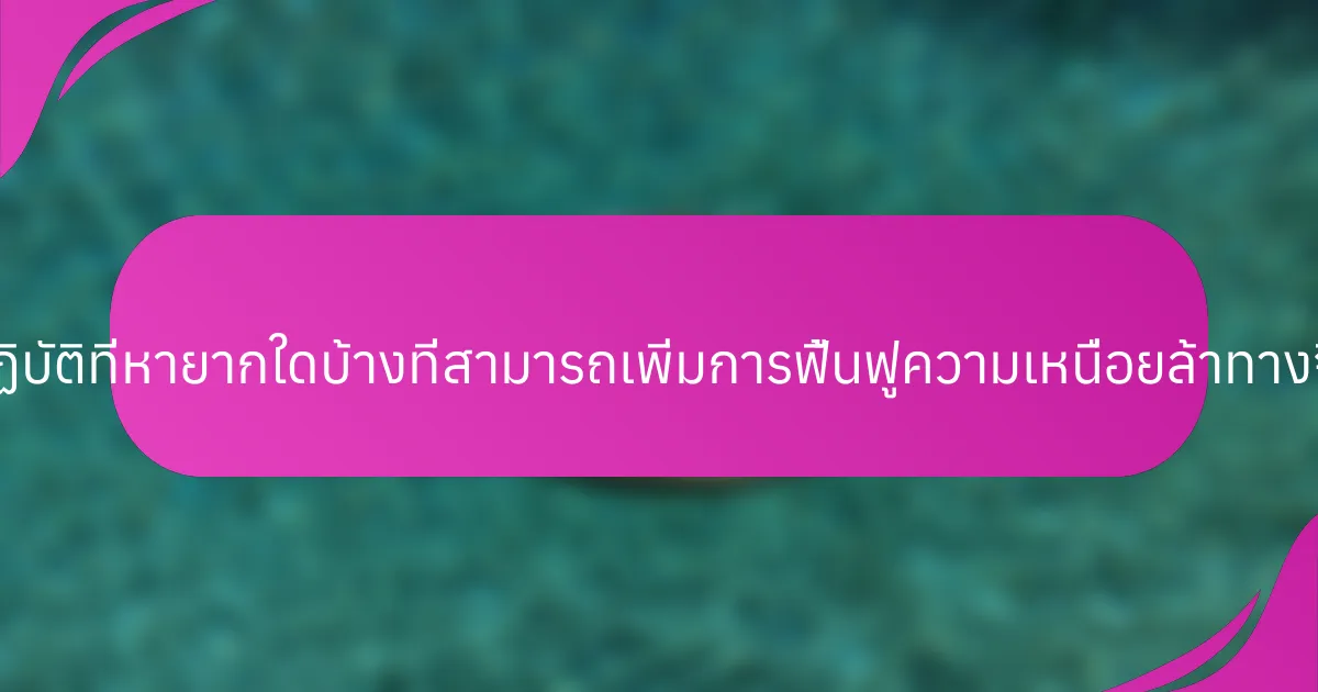การปฏิบัติที่หายากใดบ้างที่สามารถเพิ่มการฟื้นฟูความเหนื่อยล้าทางจิตใจ?